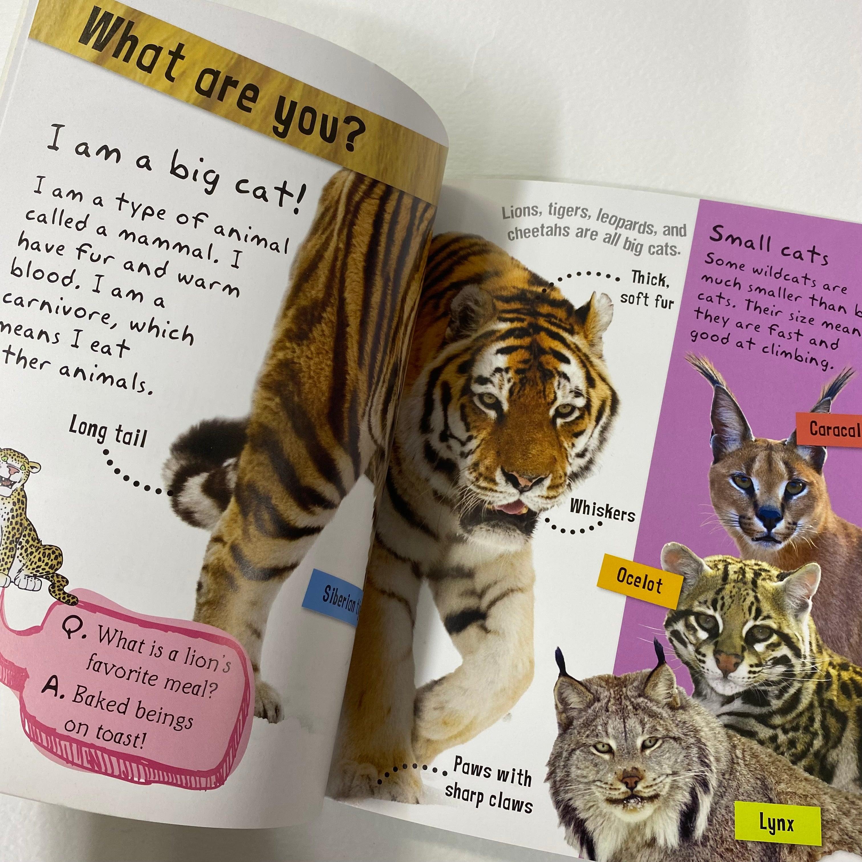 I Am a Big Cat - Includes Stickers, Activities and Story - Spectrawide Bookstore