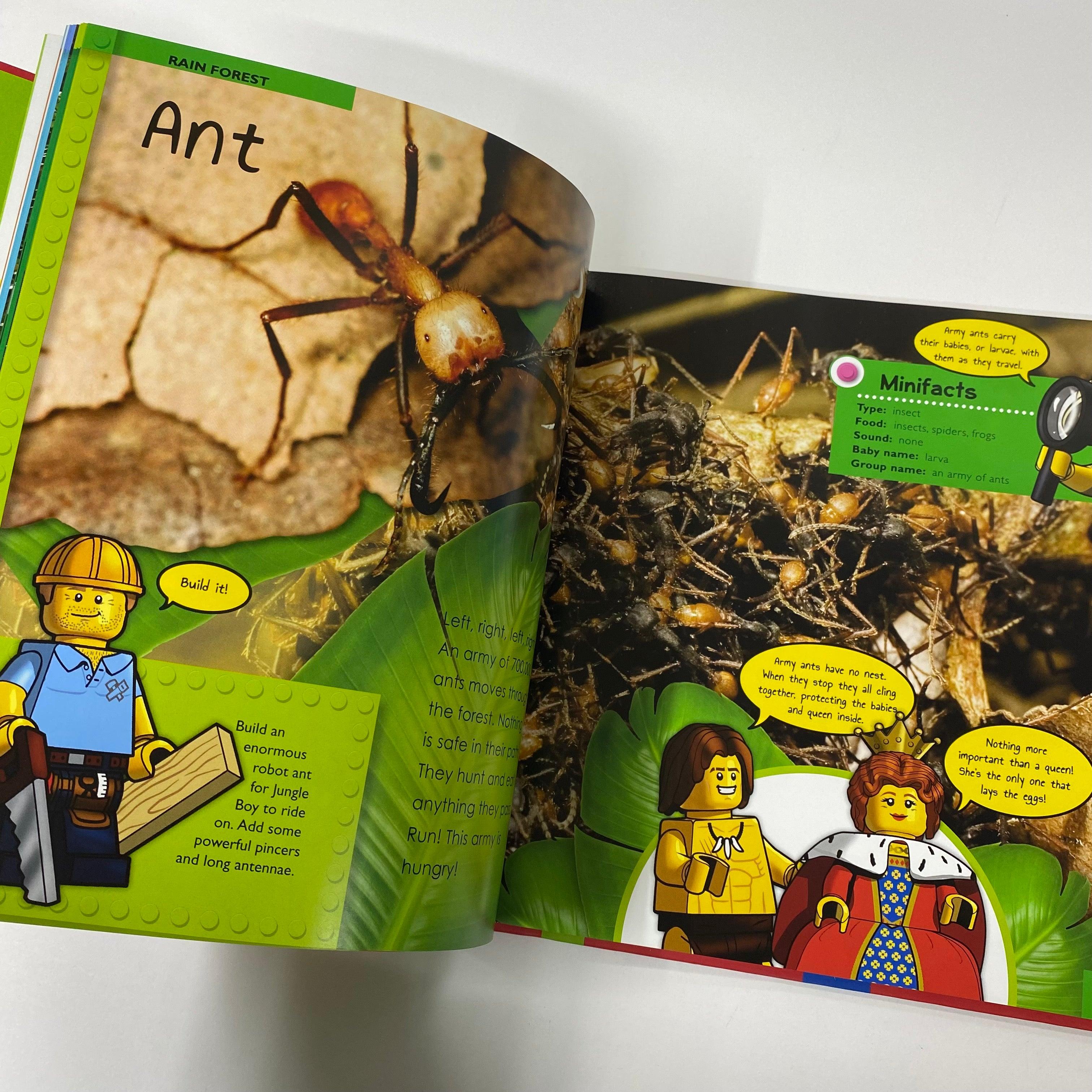 LEGO Nonfiction: Big Book of Animals : A Lego Adventure in the Real World - Spectrawide Bookstore