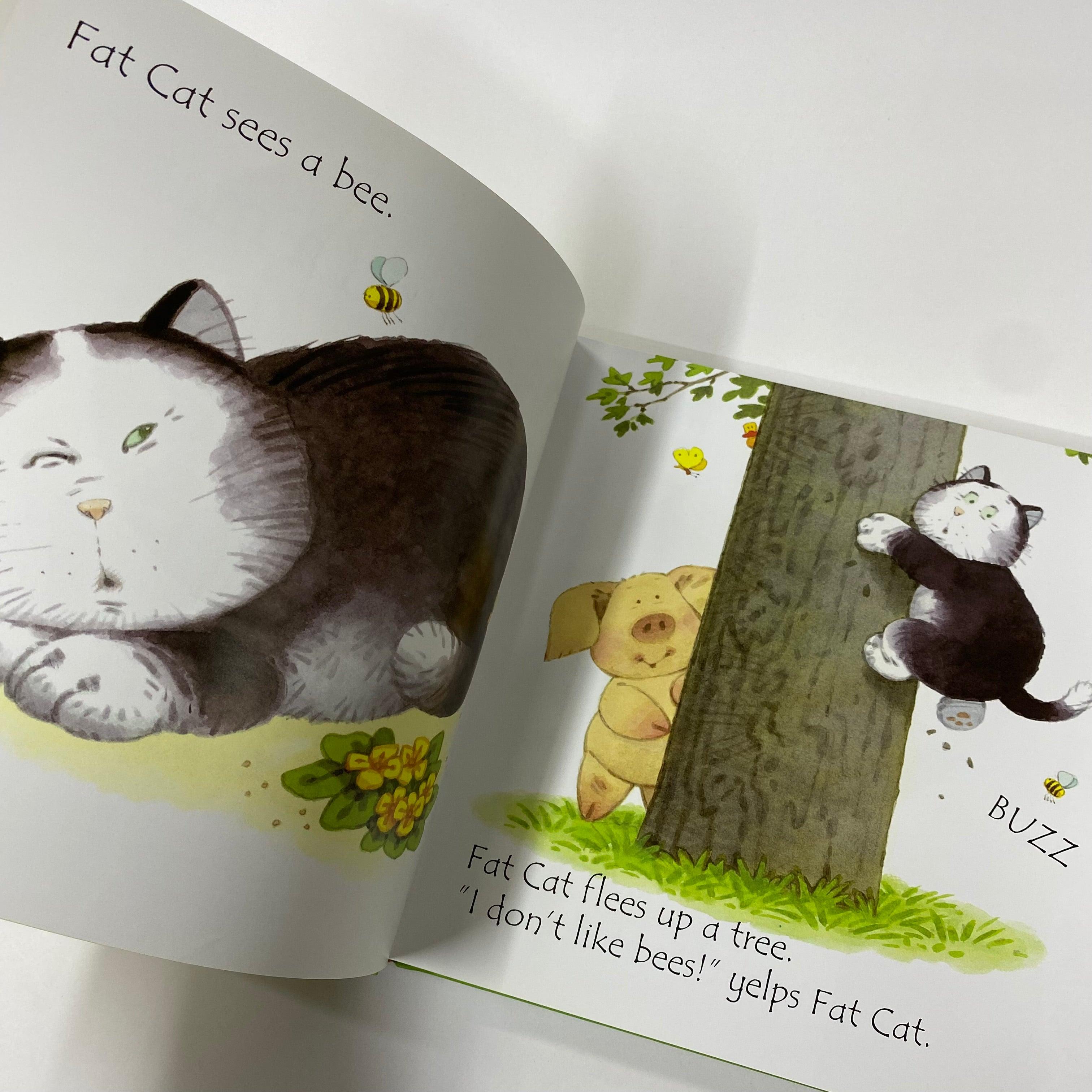USBORNE - Phonics Stories - Fat Cat on a Mat and Other Tales with an AUDIO CD - Spectrawide Bookstore