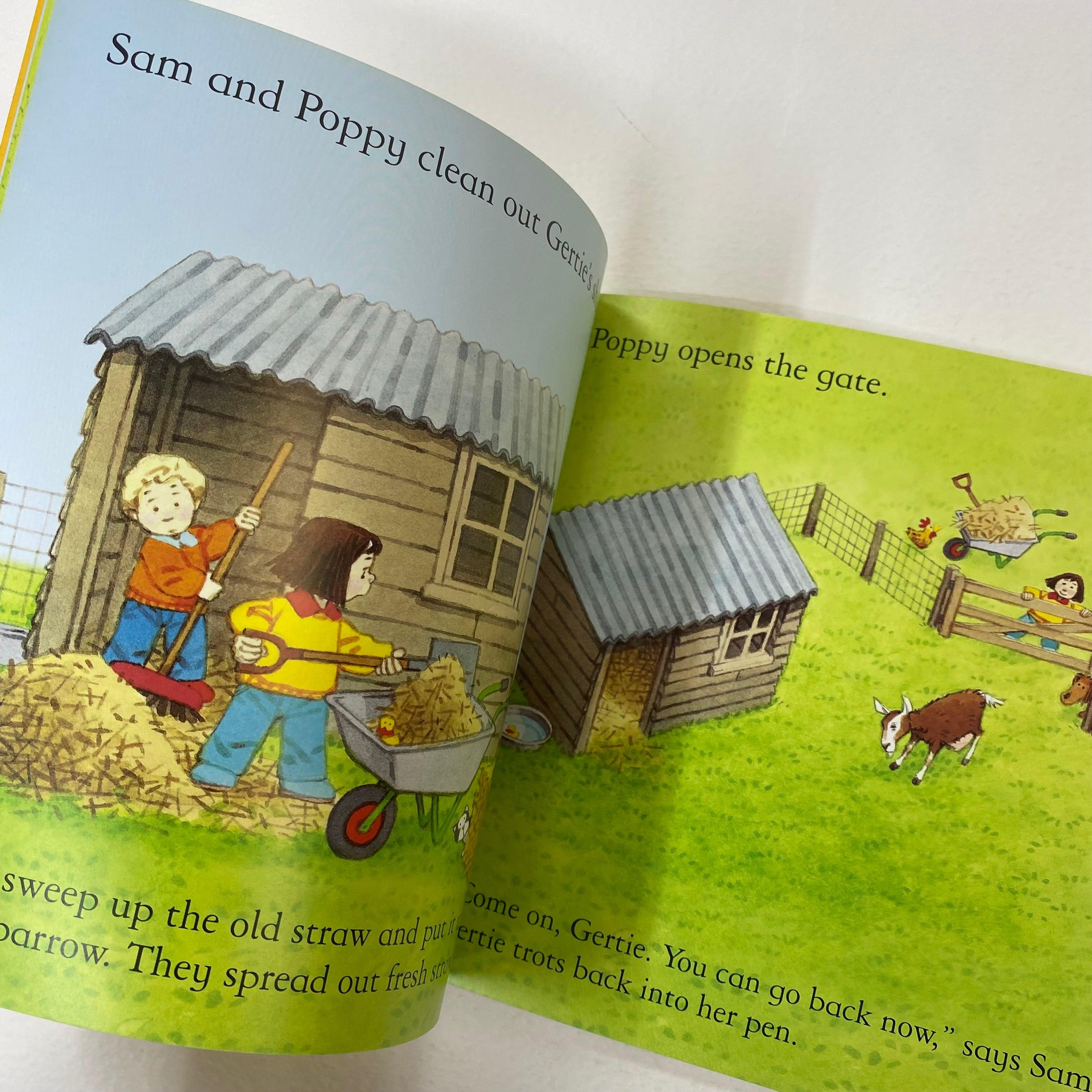 Usborne Farmyard Tales - The Grumpy Goat - Spectrawide Bookstore