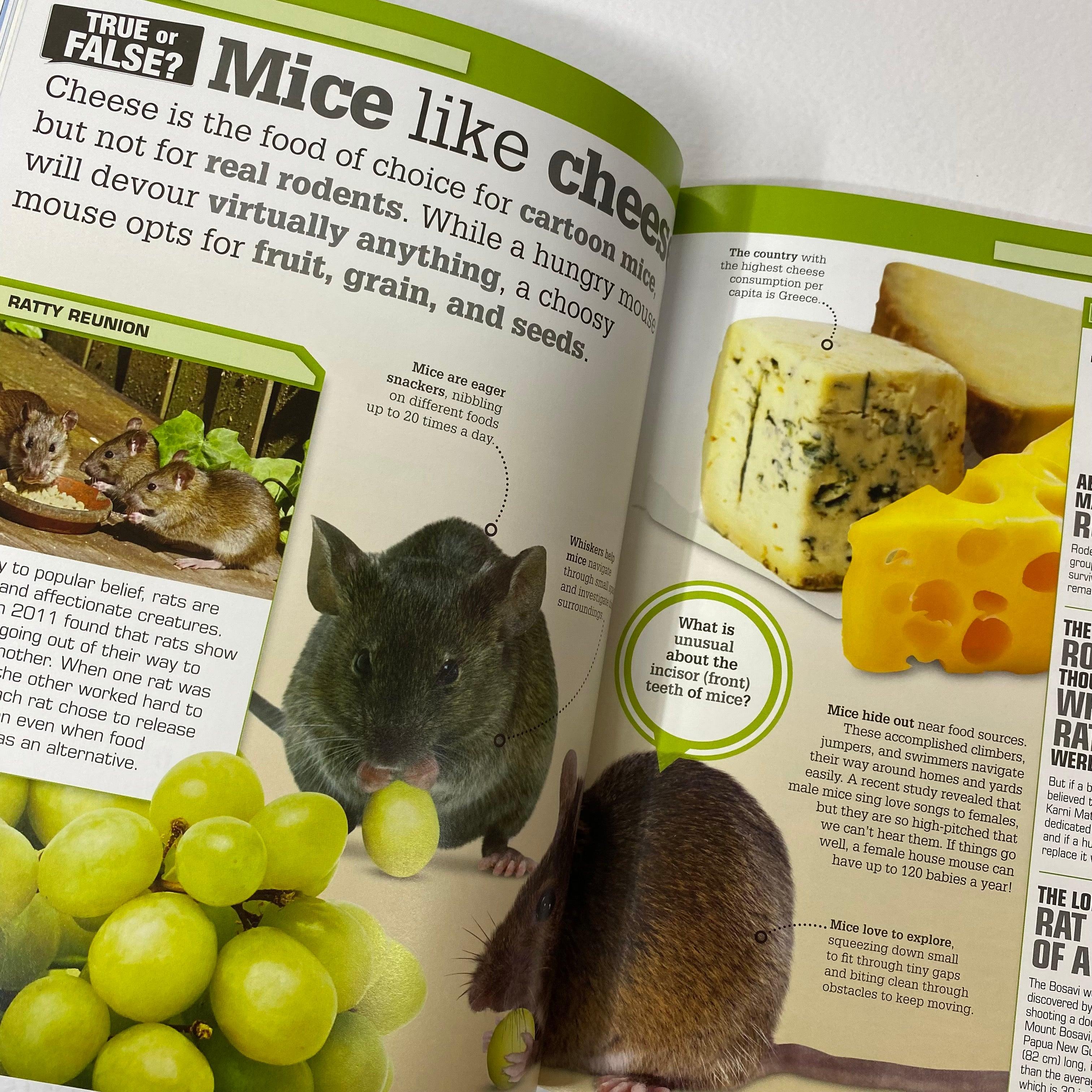 DK - True or False? - The Big Book of Big Questions & Unbelievable Answers - Spectrawide Bookstore