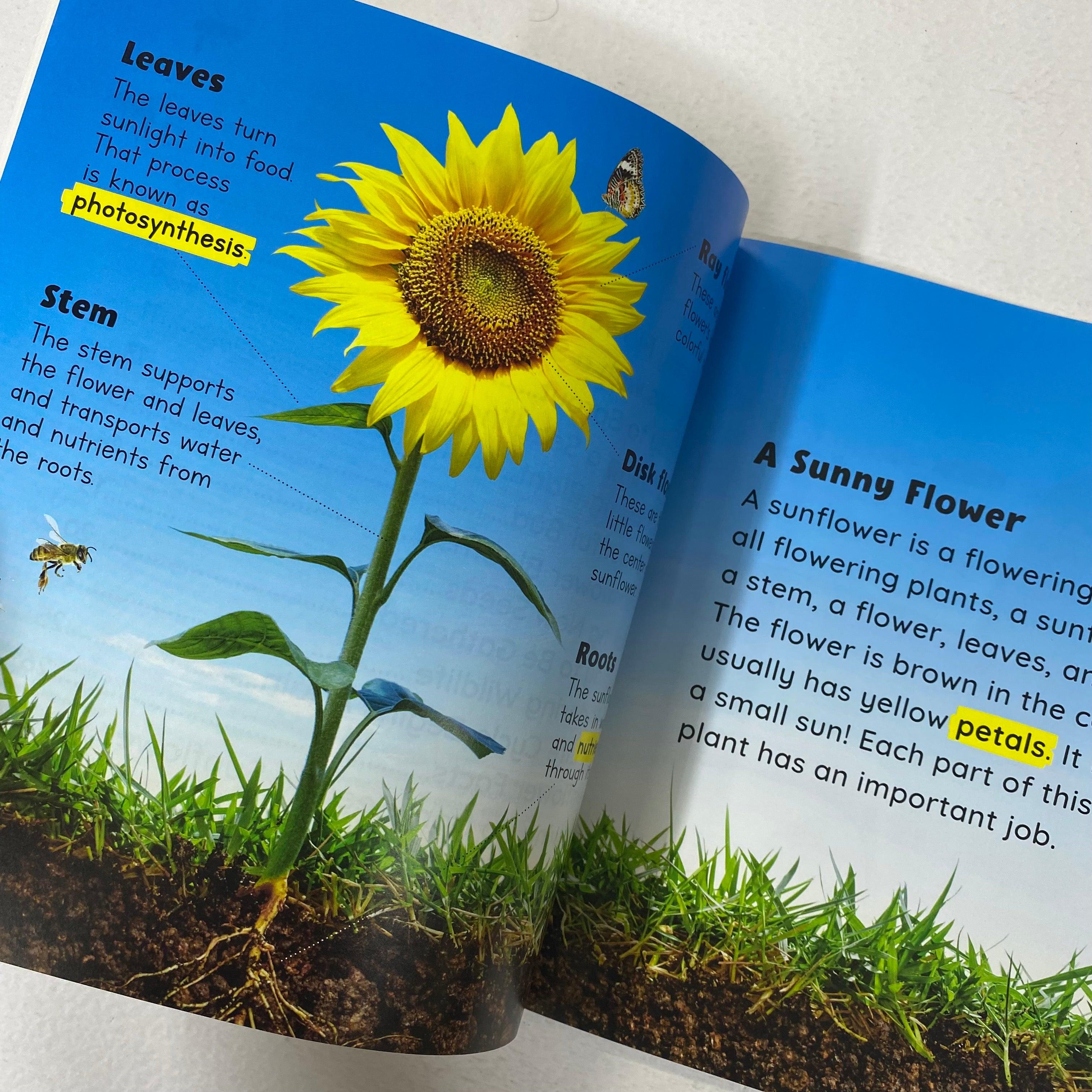 seed to plant national geographic Growing Up