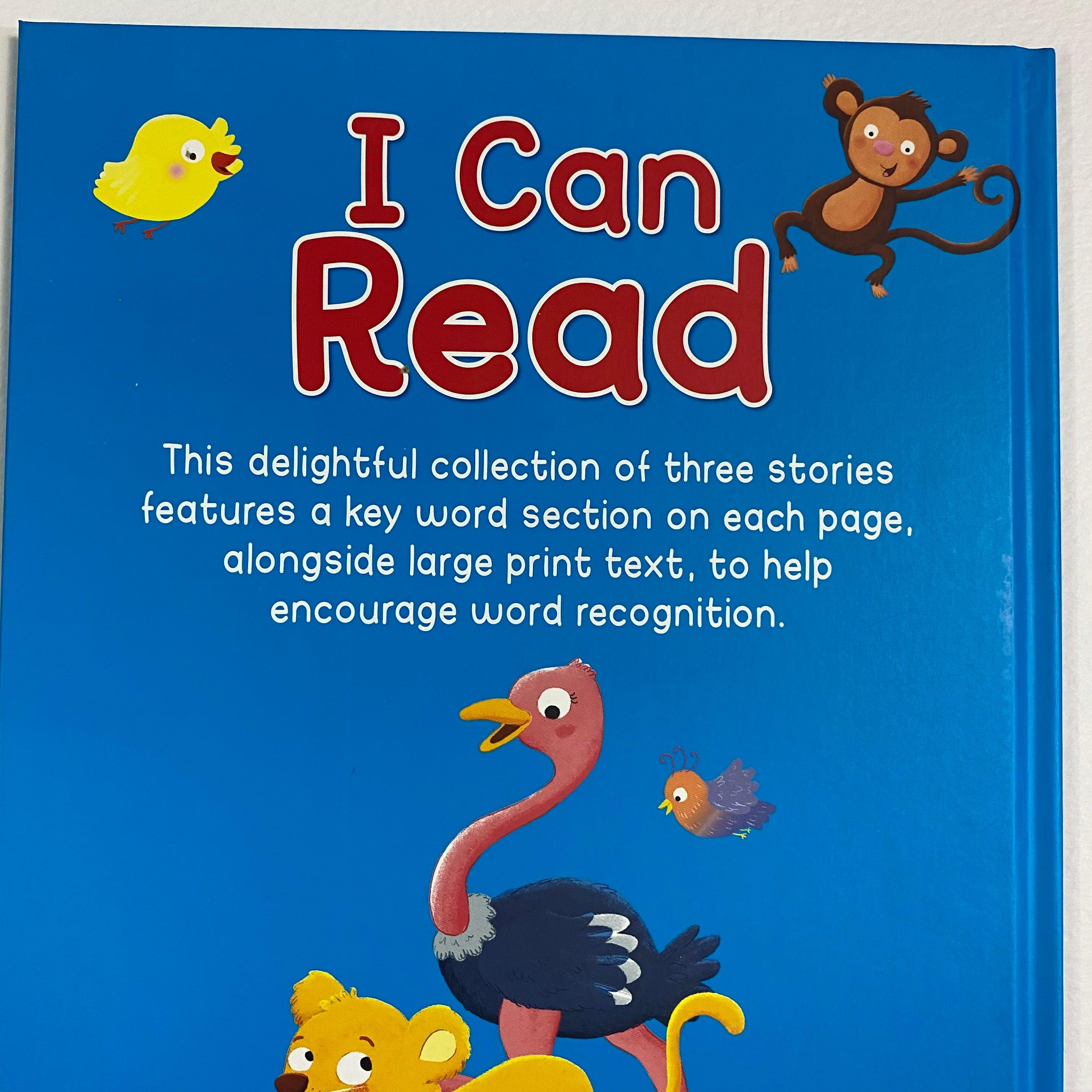 I CAN READ - Large Print Reading Scheme (Blue)