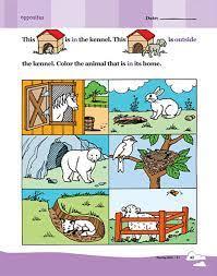 Scholastic Learning Express K1 English Reading Skills - Spectrawide Bookstore